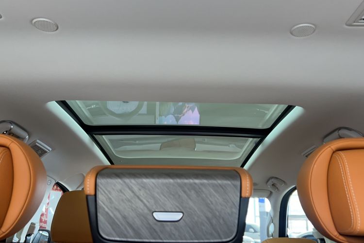 Used Tank 500 2022 3.0T Business Edition "Creation Realm" Design 5-Seater Headliner