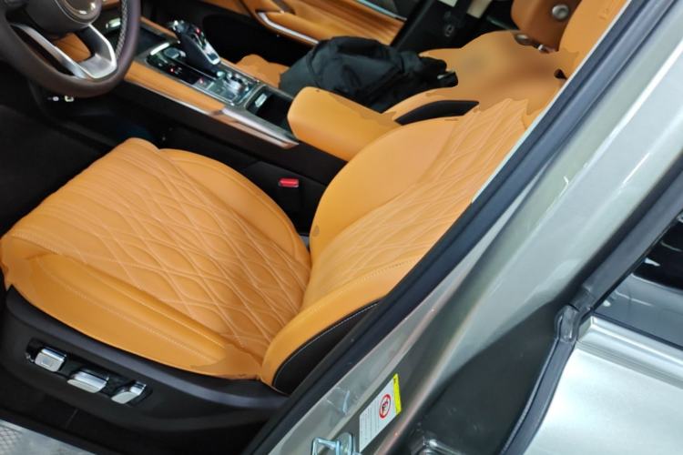 Used Tank 500 2022 3.0T Sport Edition "Creation" Version 5-Seater Left Front Seat