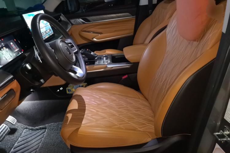 Used Tank 500 2022 3.0T Sport Edition "Creation" Version 5-Seater Left Front Seat
