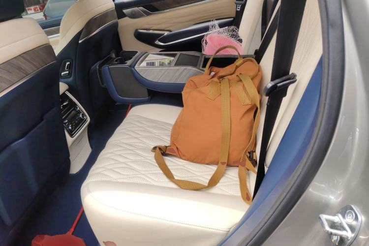 Used Tank 500 2022 3.0T Business Edition "Creation Realm" Design 5-Seater Left Rear Seat