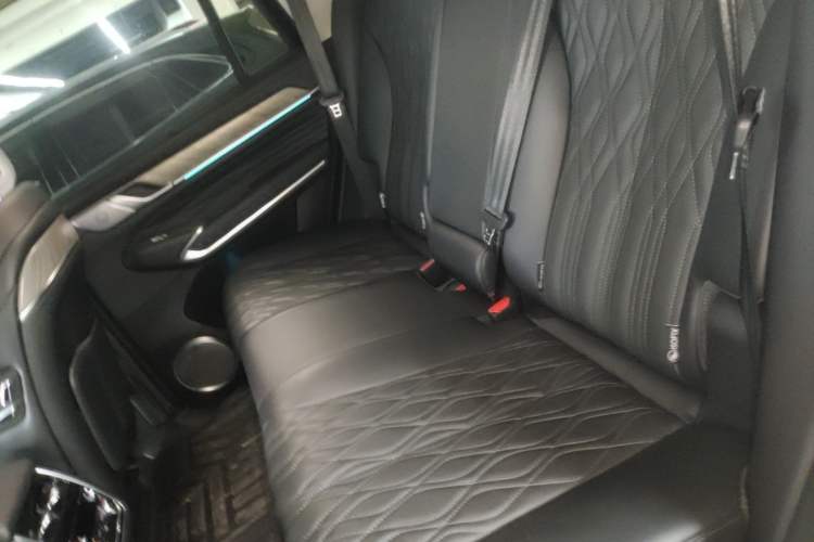 Used Tank 500 2022 3.0T Sport Edition "Creation" Version 5-Seater Left Rear Seat