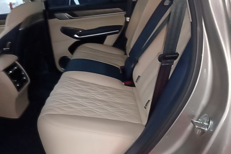 Used Tank 500 2022 3.0T Sport Edition "Creation" Version 5-Seater Left Rear Seat