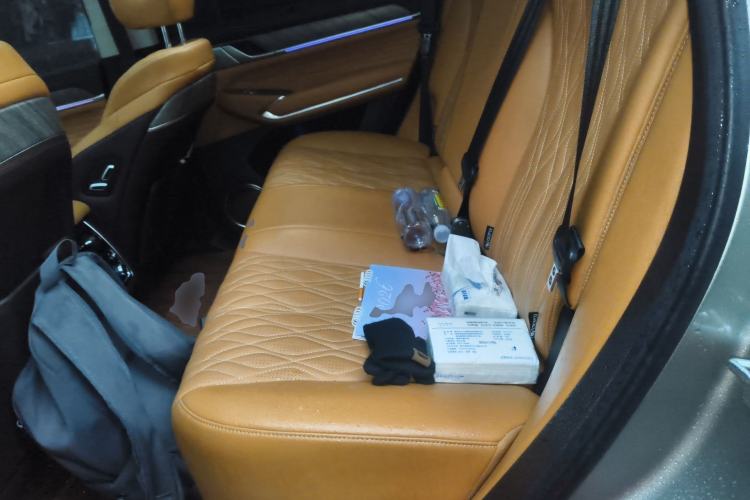 Used Tank 500 2022 3.0T Business Edition "Creation Realm" Design 5-Seater Left Rear Seat