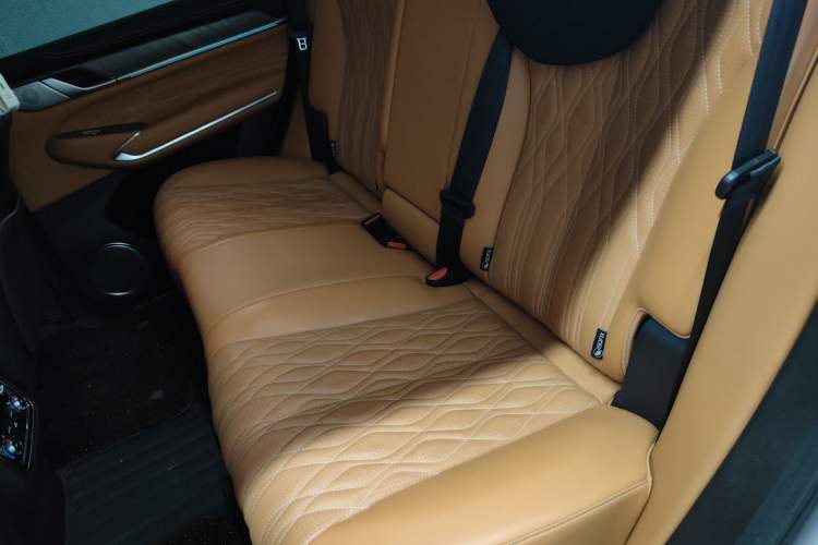 Used Tank 500 2022 3.0T Business Edition "Creation Realm" Design 5-Seater Left Rear Seat