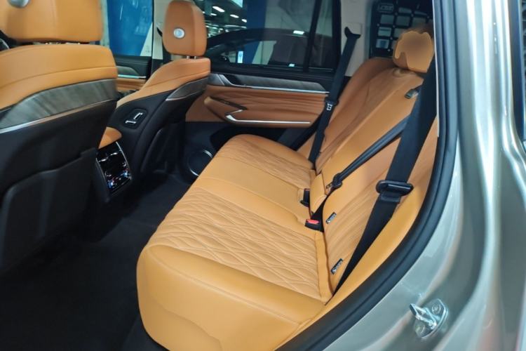Used Tank 500 2022 3.0T Sport Edition "Creation" Version 5-Seater Left Rear Seat