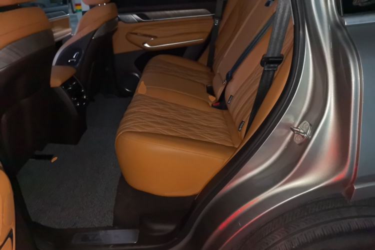 Used Tank 500 2022 3.0T Sport Edition "Creation" Version 5-Seater Left Rear Seat