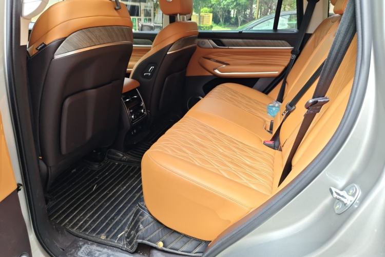 Used Tank 500 2022 3.0T Sport Edition "Creation" Version 5-Seater Left Rear Seat