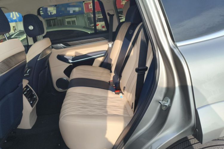 Used Tank 500 2022 3.0T Sport Edition "Creation" Version 5-Seater Left Rear Seat