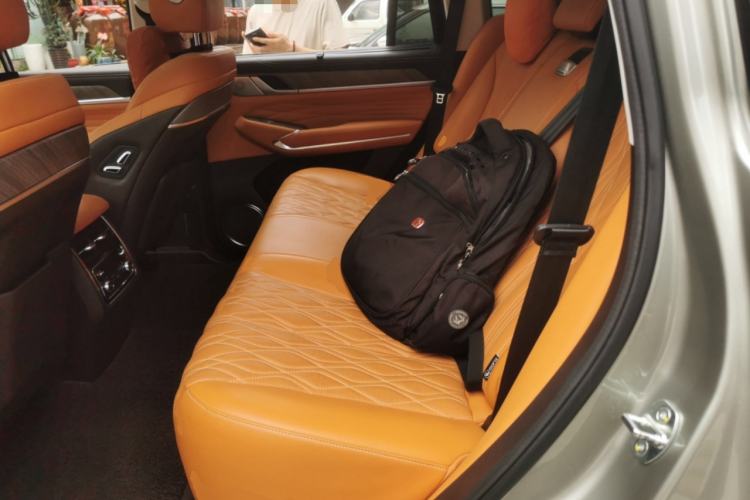 Used Tank 500 2022 3.0T Sport Edition "Creation" Version 5-Seater Left Rear Seat