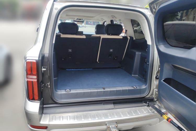 Used Tank 500 2022 3.0T Business Edition "Creation Realm" Design 5-Seater Trunk