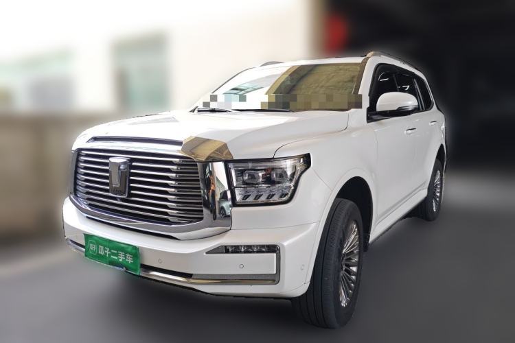 Used Tank 500 2022 3.0T Business Edition "Creation Realm" Design 5-Seater Guazi used car, China used car export, Used car for sale, Used  cars, Cheapest cars for sale