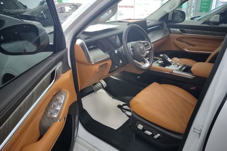 Used Tank 500 2022 3.0T Sport Edition "Creation" Version 5-Seater Driver Seat