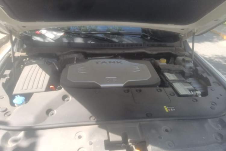 Used Tank 500 2022 3.0T Business Edition "Creation Realm" Design 5-Seater Engine Bay