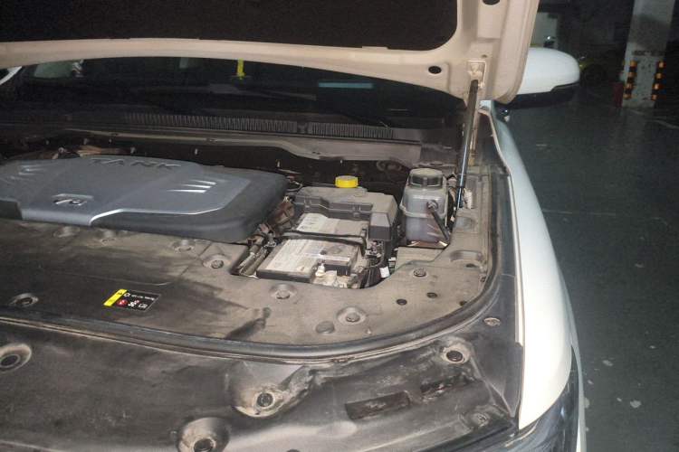 Used Tank 500 2022 3.0T Business Edition "Creation Realm" Design 5-Seater Engine Bay Left