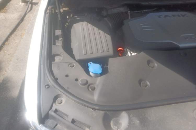 Used Tank 500 2022 3.0T Business Edition "Creation Realm" Design 5-Seater Engine Bay Right