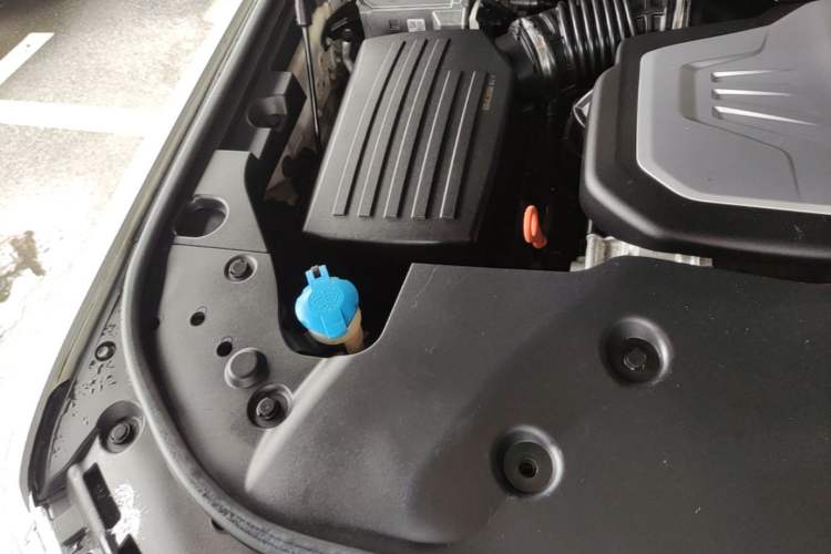 Used Tank 500 2022 3.0T Business Edition "Creation Realm" Design 5-Seater Engine Bay Right