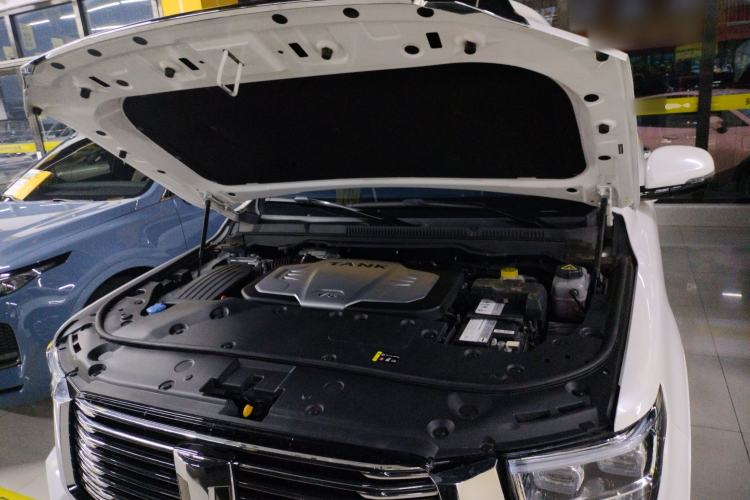 Used Tank 500 2022 3.0T Business Edition "Creation Realm" Design 5-Seater Engine Bay