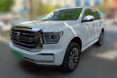 Used Tank 500 2022 3.0T Sport Edition "Creation" Version 5-Seater