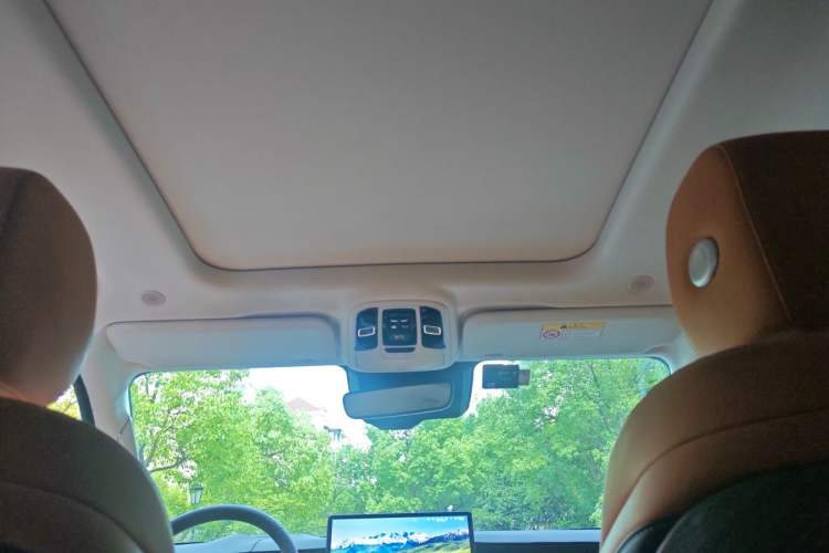Used Tank 500 2022 3.0T Business Edition "Creation Realm" Design 5-Seater Headliner