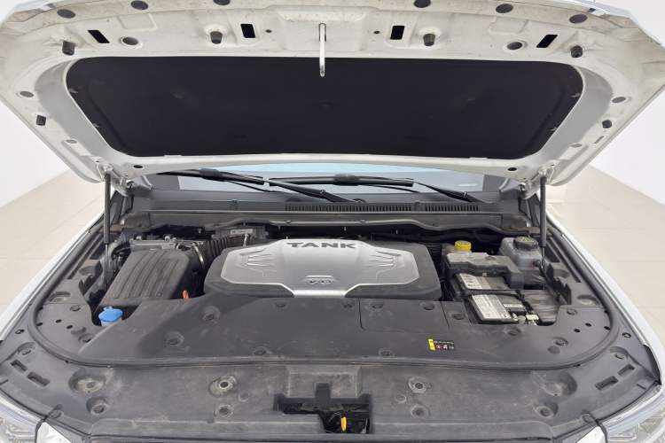 Used Tank 500 2022 3.0T Business Edition "Creation Realm" Design 5-Seater Interior 4