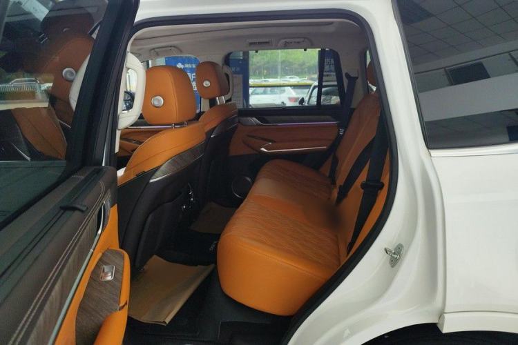 Used Tank 500 2022 3.0T Business Edition "Creation Realm" Design 5-Seater Interior 6