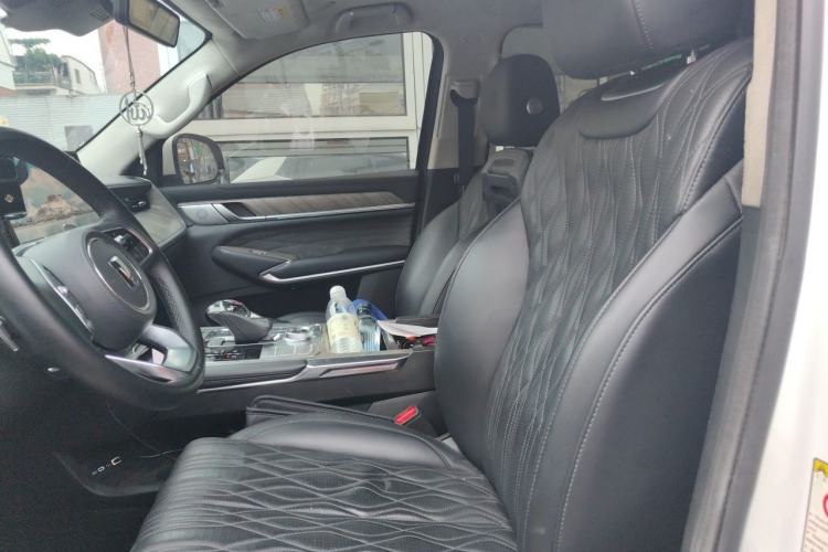 Used Tank 500 2022 3.0T Business Edition "Creation Realm" Design 5-Seater Left Front Seat