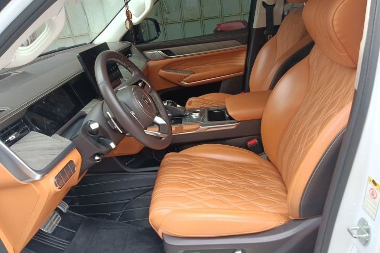 Used Tank 500 2022 3.0T Business Edition "Creation Realm" Design 5-Seater Left Front Seat