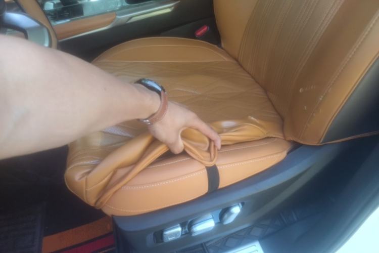 Used Tank 500 2022 3.0T Business Edition "Creation Realm" Design 5-Seater Left Front Seat