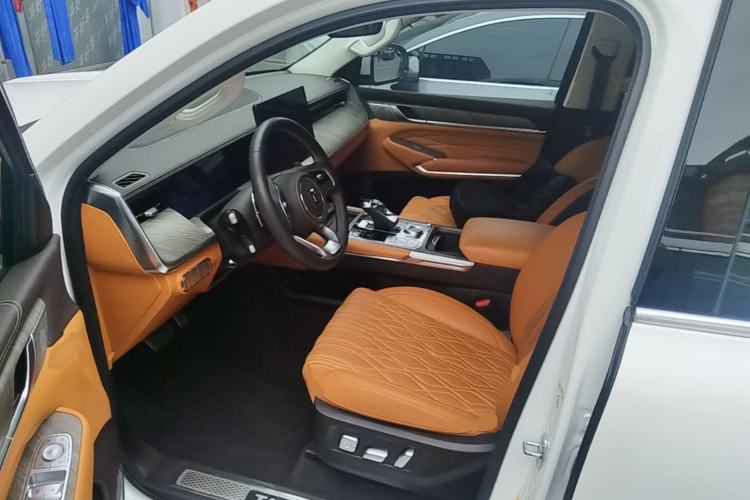 Used Tank 500 2022 3.0T Business Edition "Creation Realm" Design 5-Seater Left Front Seat