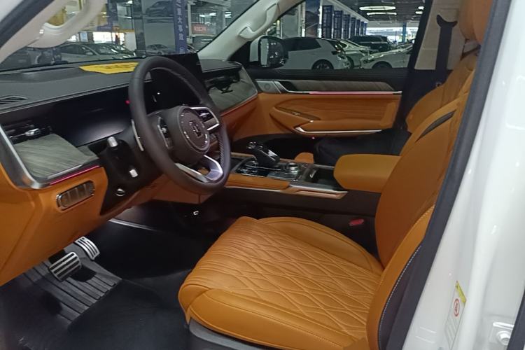 Used Tank 500 2022 3.0T Sport Edition "Creation" Version 5-Seater Left Front Seat