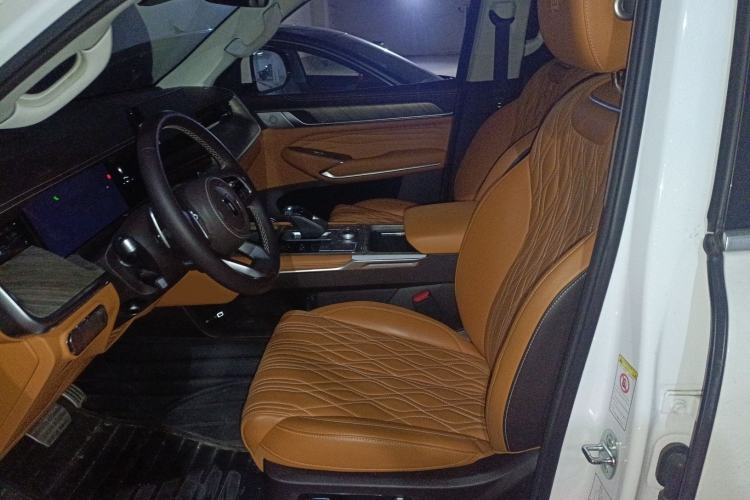Used Tank 500 2022 3.0T Sport Edition "Creation" Version 5-Seater Left Front Seat