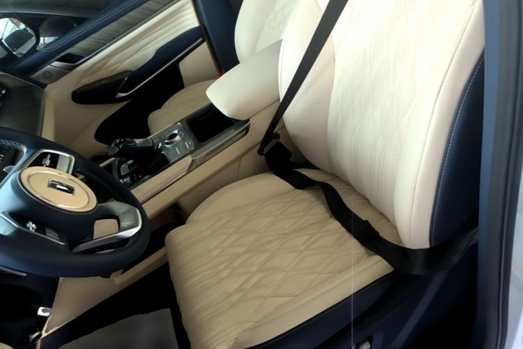 Used Tank 500 2022 3.0T Sport Edition "Creation" Version 5-Seater Left Front Seat