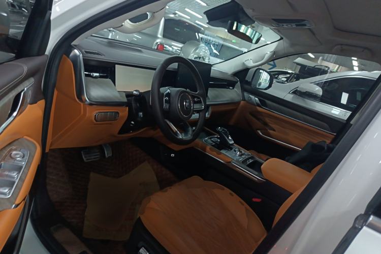 Used Tank 500 2022 3.0T Business Edition "Creation Realm" Design 5-Seater Left Front Seat