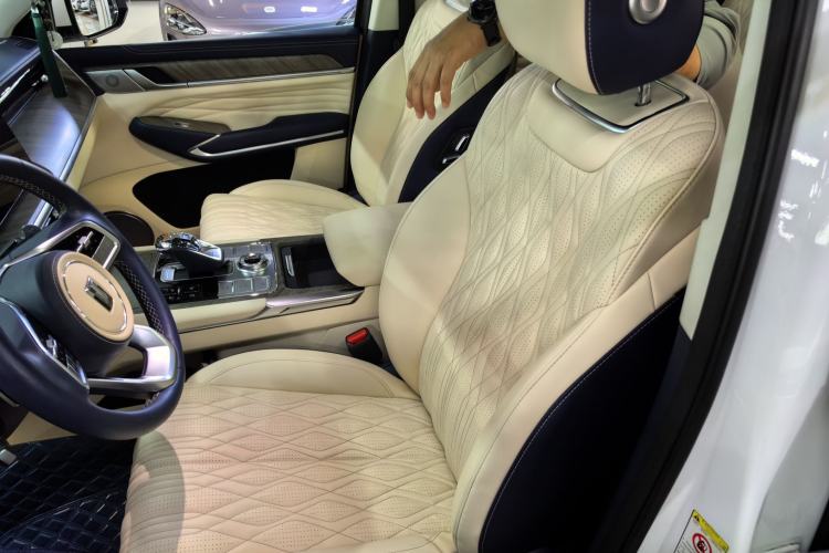 Used Tank 500 2022 3.0T Business Edition "Creation Realm" Design 5-Seater Left Front Seat