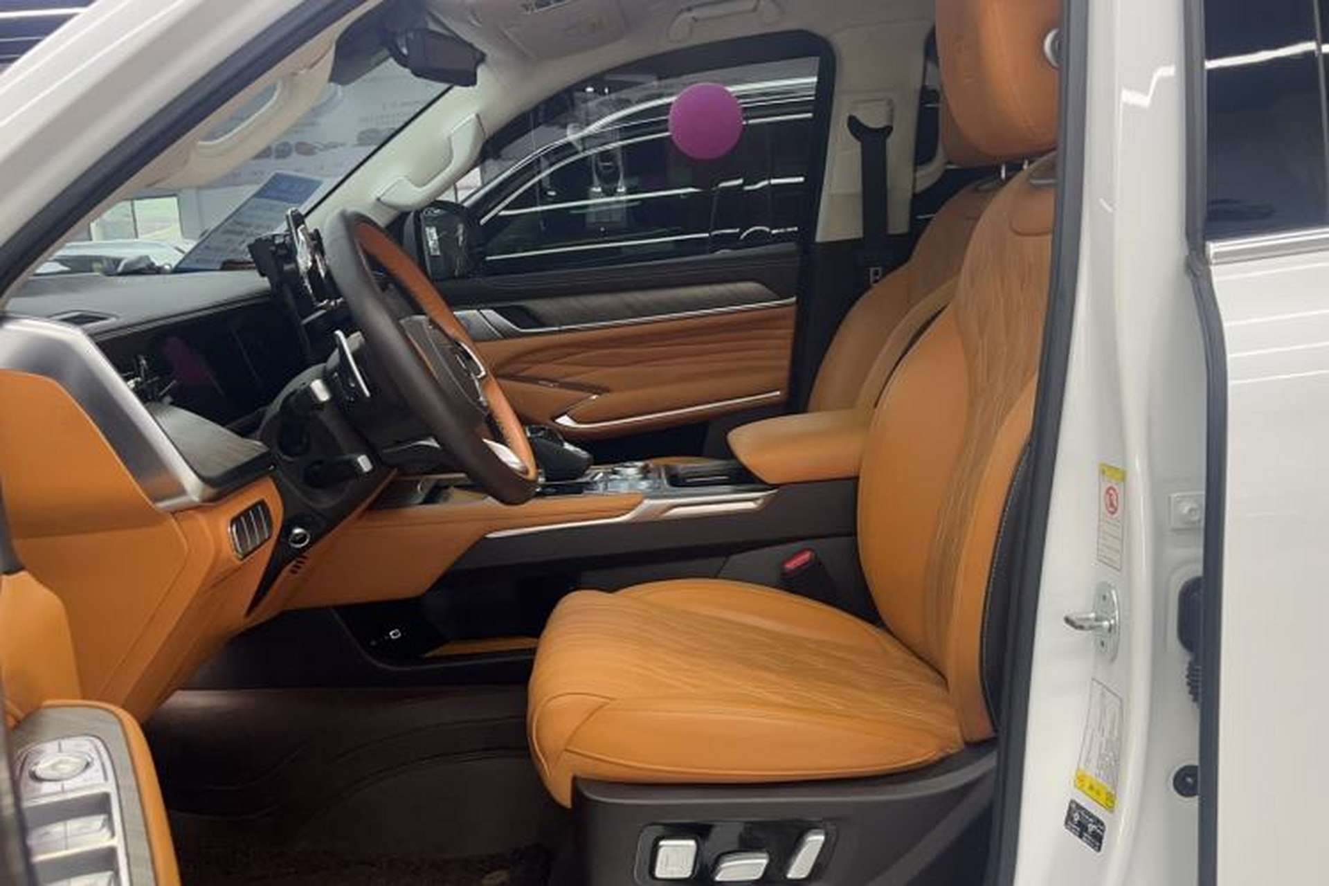 Used Tank 500 2022 3.0T Business Edition "Creation Realm" Design 5-Seater Left Front Seat