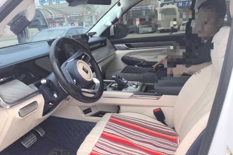 Used Tank 500 2022 3.0T Sport Edition "Creation" Version 5-Seater Left Front Seat
