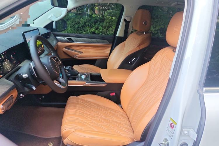 Used Tank 500 2022 3.0T Business Edition "Creation Realm" Design 5-Seater Left Front Seat