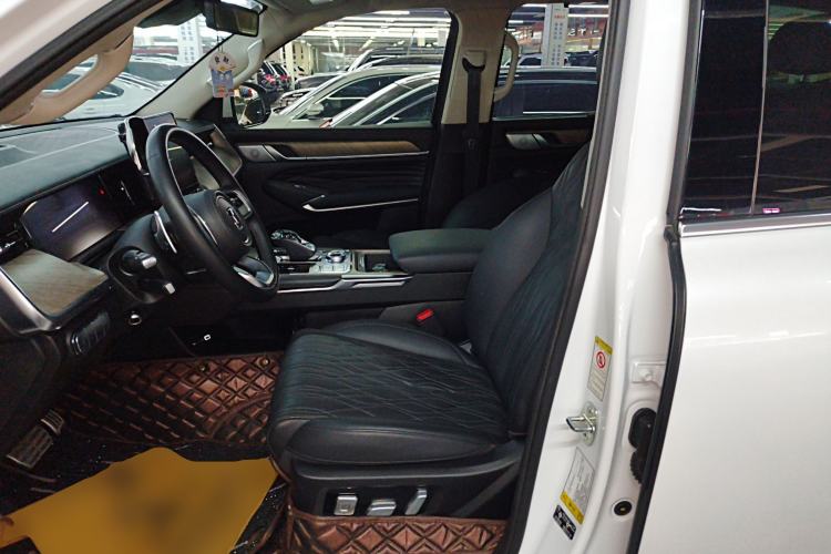 Used Tank 500 2022 3.0T Business Edition "Creation Realm" Design 5-Seater Left Front Seat