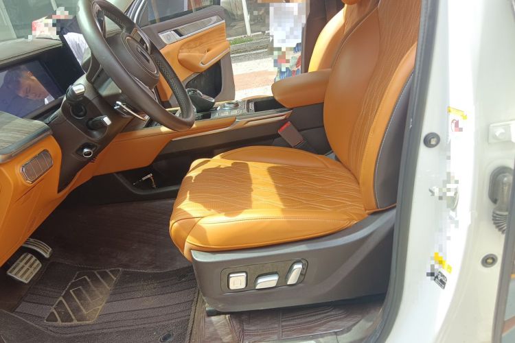 Used Tank 500 2022 3.0T Sport Edition "Creation" Version 5-Seater Left Front Seat