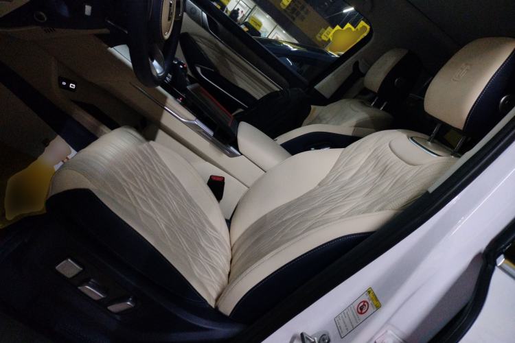 Used Tank 500 2022 3.0T Business Edition "Creation Realm" Design 5-Seater Left Front Seat