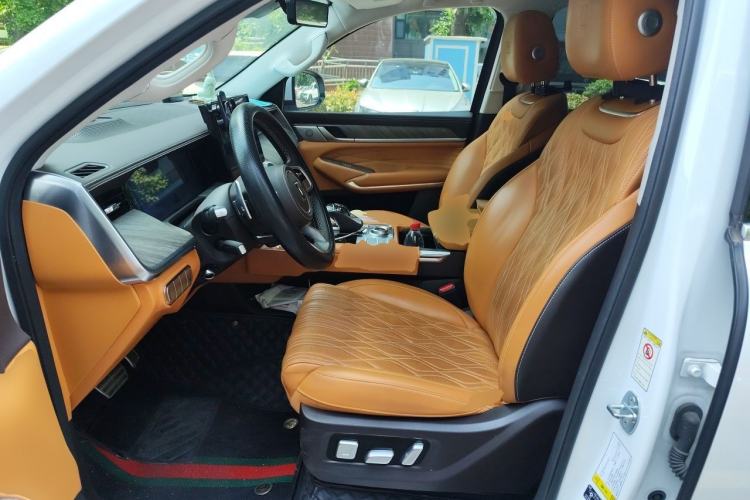 Used Tank 500 2022 3.0T Sport Edition "Creation" Version 5-Seater Left Front Seat