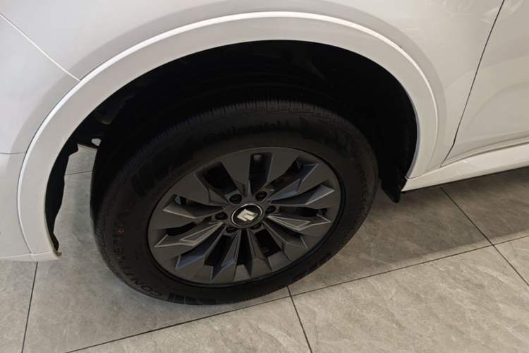 Used Tank 500 2022 3.0T Sport Edition "Creation" Version 5-Seater Left Front Wheel Hub