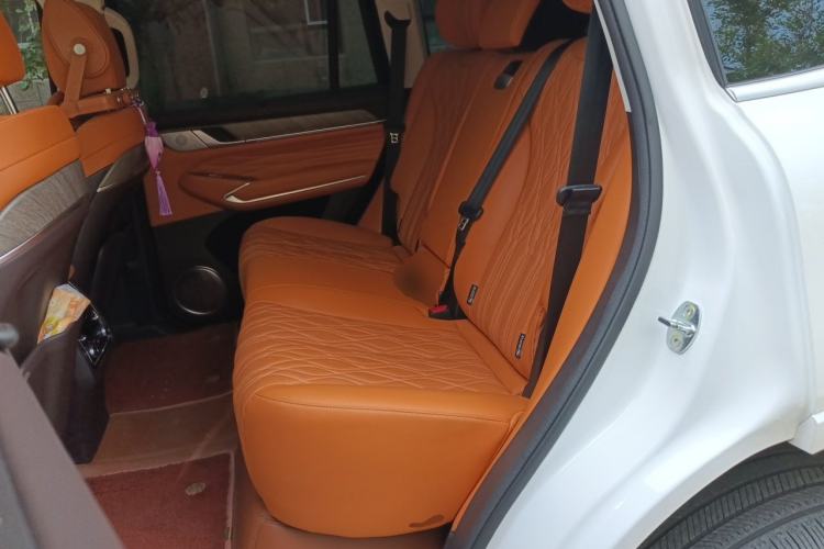 Used Tank 500 2022 3.0T Business Edition "Creation Realm" Design 5-Seater Left Rear Seat