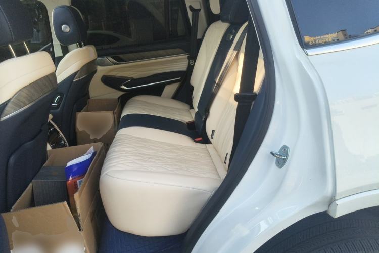 Used Tank 500 2022 3.0T Sport Edition "Creation" Version 5-Seater Left Rear Seat