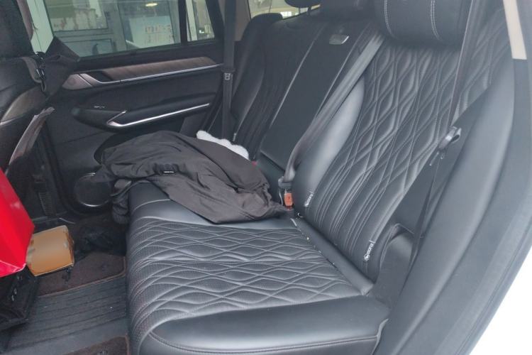 Used Tank 500 2022 3.0T Business Edition "Creation Realm" Design 5-Seater Left Rear Seat
