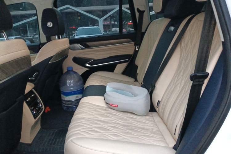 Used Tank 500 2022 3.0T Business Edition "Creation Realm" Design 5-Seater Left Rear Seat