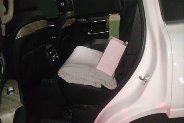 Used Tank 500 2022 3.0T Sport Edition "Creation" Style 7 Seats Left Rear Seat
