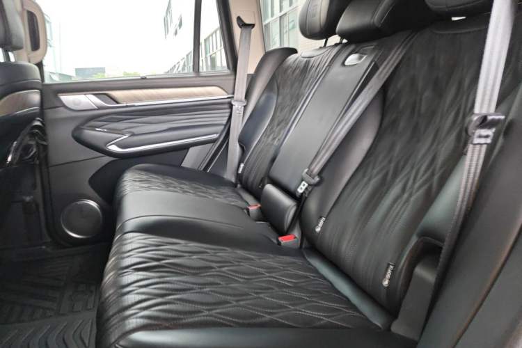 Used Tank 500 2022 3.0T Business Edition "Creation Realm" Design 5-Seater Left Rear Seat