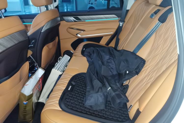 Used Tank 500 2022 3.0T Sport Edition "Creation" Version 5-Seater Left Rear Seat