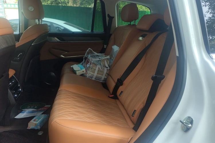 Used Tank 500 2022 3.0T Sport Edition "Creation" Version 5-Seater Left Rear Seat